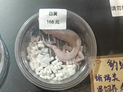 -酷以爬仙阁实体爬宠店·守宫·蜥蜴·专业繁育