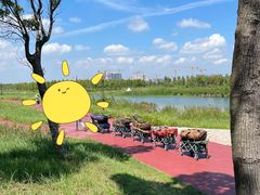 -春花秋色城市公园