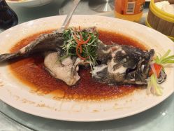 -金茂深圳JW万豪酒店·宴会厅