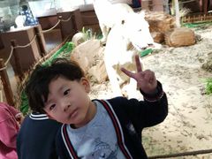 -陕西自然博物馆