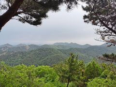 -金龙寺国家森林公园