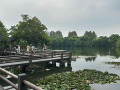 -西湖游船