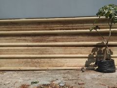 -维乐口腔医院(星海湾分院)
