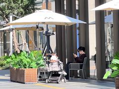 -Peet's Coffee皮爷咖啡(武商Mall手作店)
