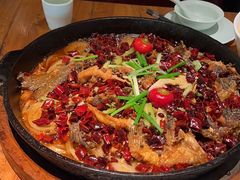 -老板恋上鱼(环山路店)