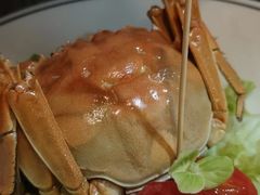 -应天大明王朝·南京菜(中山陵店)