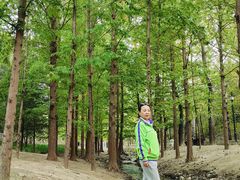 -白水寺森林公园
