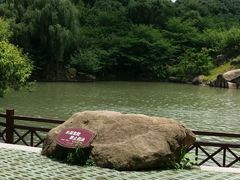 -白马涧龙池景区