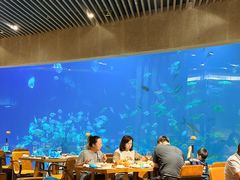 -海棠湾洲际-涛·海底餐厅·美人鱼·自助餐·海底隧道