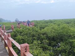 -北海金海湾红树林生态旅游区