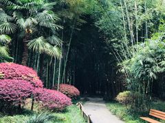 -望江楼公园
