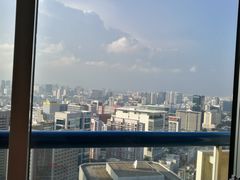 -新加坡瑞士史丹福酒店