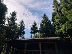 -武陵山森林公园