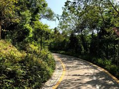 -梧桐山风景名胜区