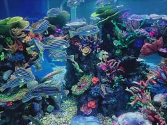 -成都浩海立方海洋公园