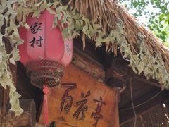 -合肥滨湖国家森林公园