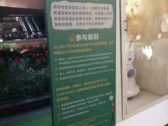 -瑞虹新天地月亮湾