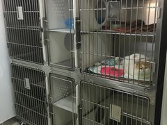 -佑安动物医院·全科·内窥镜中心(幸福巷店)