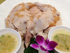 -金华安大酒楼·老牌潮菜·粤式茶点(东方国际店)