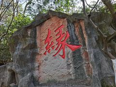 -杭州黄龙洞