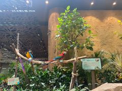 -杭州开元森泊度假乐园