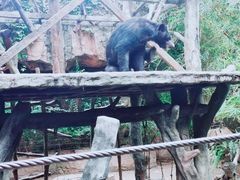 -长鹿旅游休博园