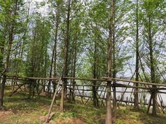 -天河潭旅游度假区