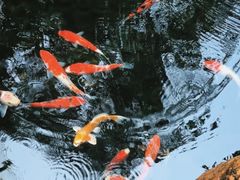 -云溪植物园