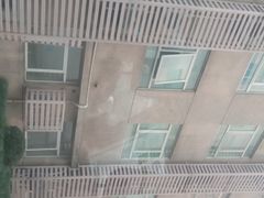 -复旦大学附属肿瘤医院(徐汇院区)