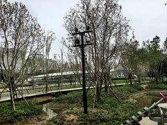 -石榴庄公园