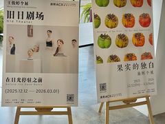 -辰熙ACX星海艺术中心