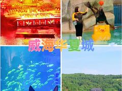 -《神游传奇》秀