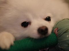 -汇盈·棋牌会所