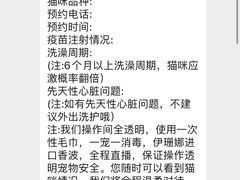 -爱洗澡的猫(天河路店)