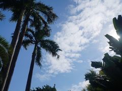 -东山湖公园