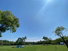 -上海吴淞炮台湾国家湿地公园