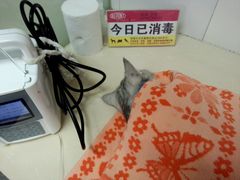 android_upload_pic-美联众合动物医院·24h京西诊疗中心