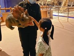 -世界恐龙谷景区