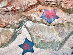 -沈阳海洋探索中心