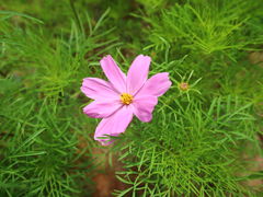 -铜锣山矿山公园