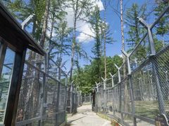 -横道河子东北虎林园