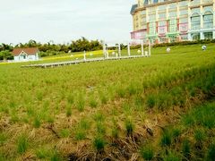 -广州花之恋城堡酒店