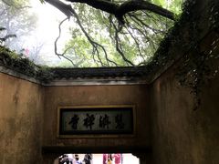 -普陀山慧济禅寺