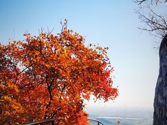 -香山公园