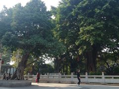 -荔湾湖公园