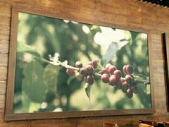 -星巴克(贵阳花果园1店)