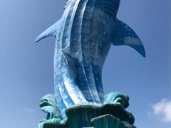 -珠海长隆海洋王国