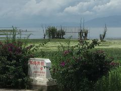 -大理洱海