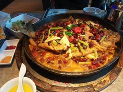 -老板恋上鱼(恒隆广场店)