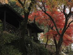 -虎丘山风景名胜区